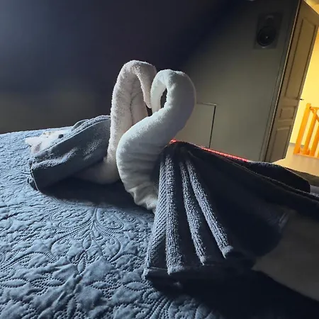 Magnifique Loveroom Avec Sauna, Et Cinemaroom